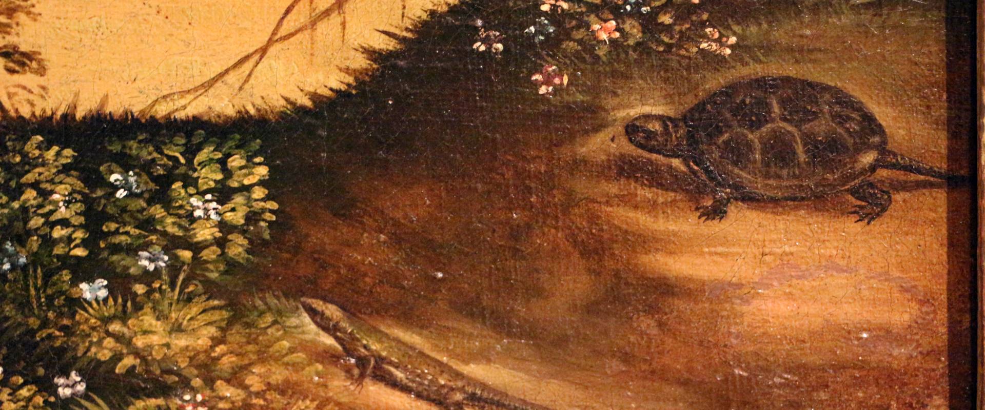 Maestro dei dodici apostoli, giacobbe e rachele al pozzo, ferrara 1500-50 ca. 10 tartaruga e lucertola photo by Sailko